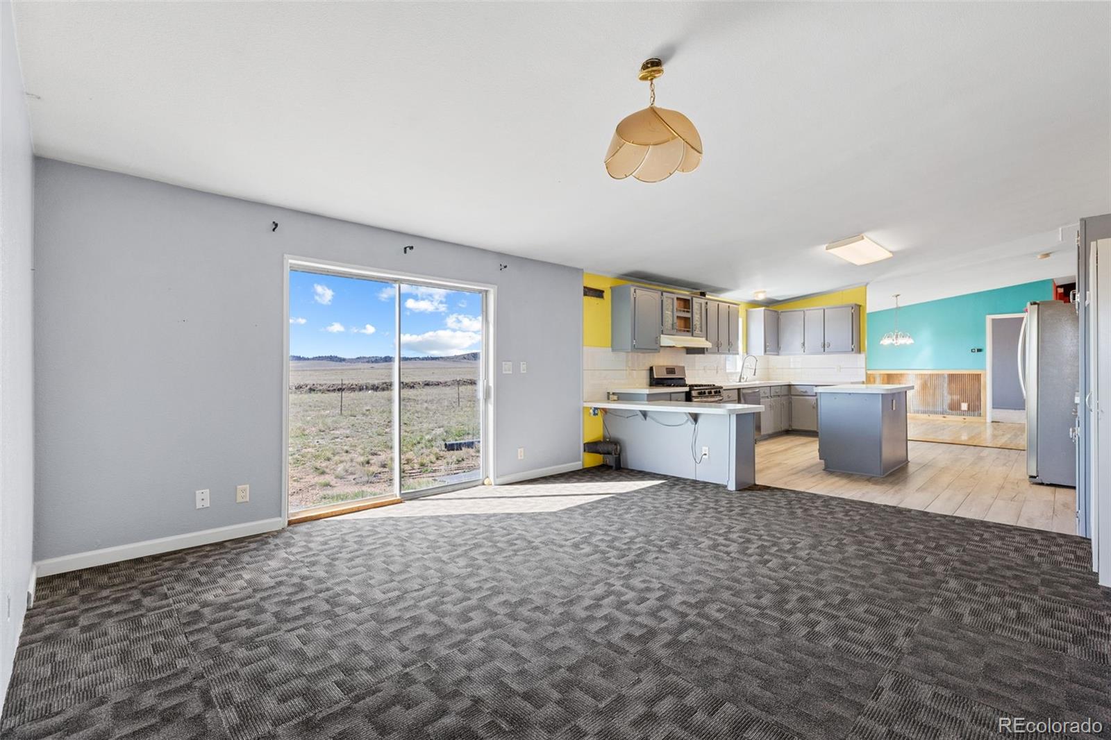 MLS Image #28 for 1840  high creek drive,hartsel, Colorado