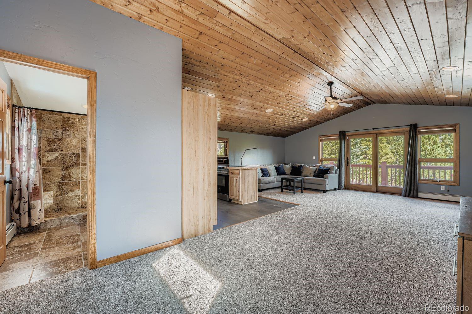 MLS Image #38 for 1288  royal ridge drive,bailey, Colorado