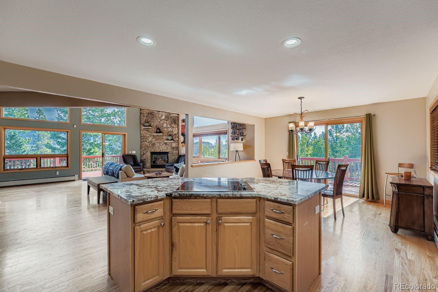 MLS Image #5 for 1288  royal ridge drive,bailey, Colorado