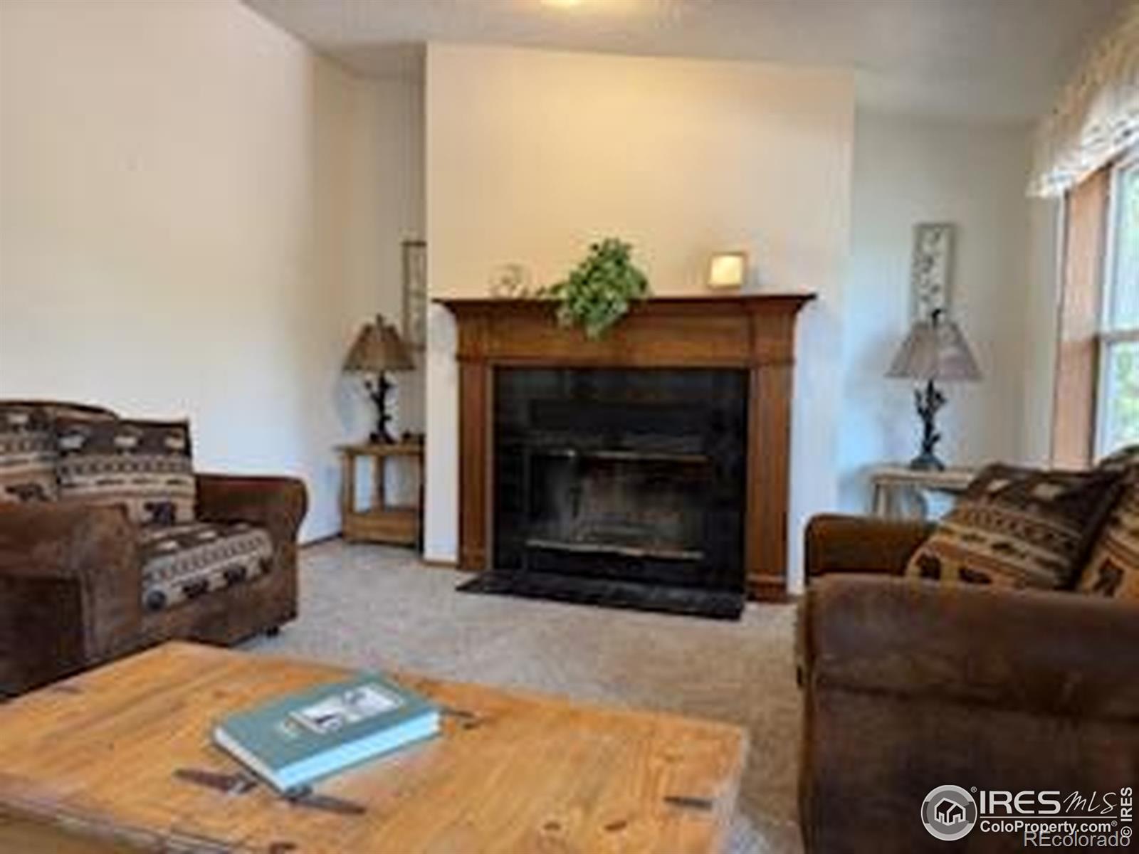 MLS Image #23 for 316  panamint way,red feather lakes, Colorado