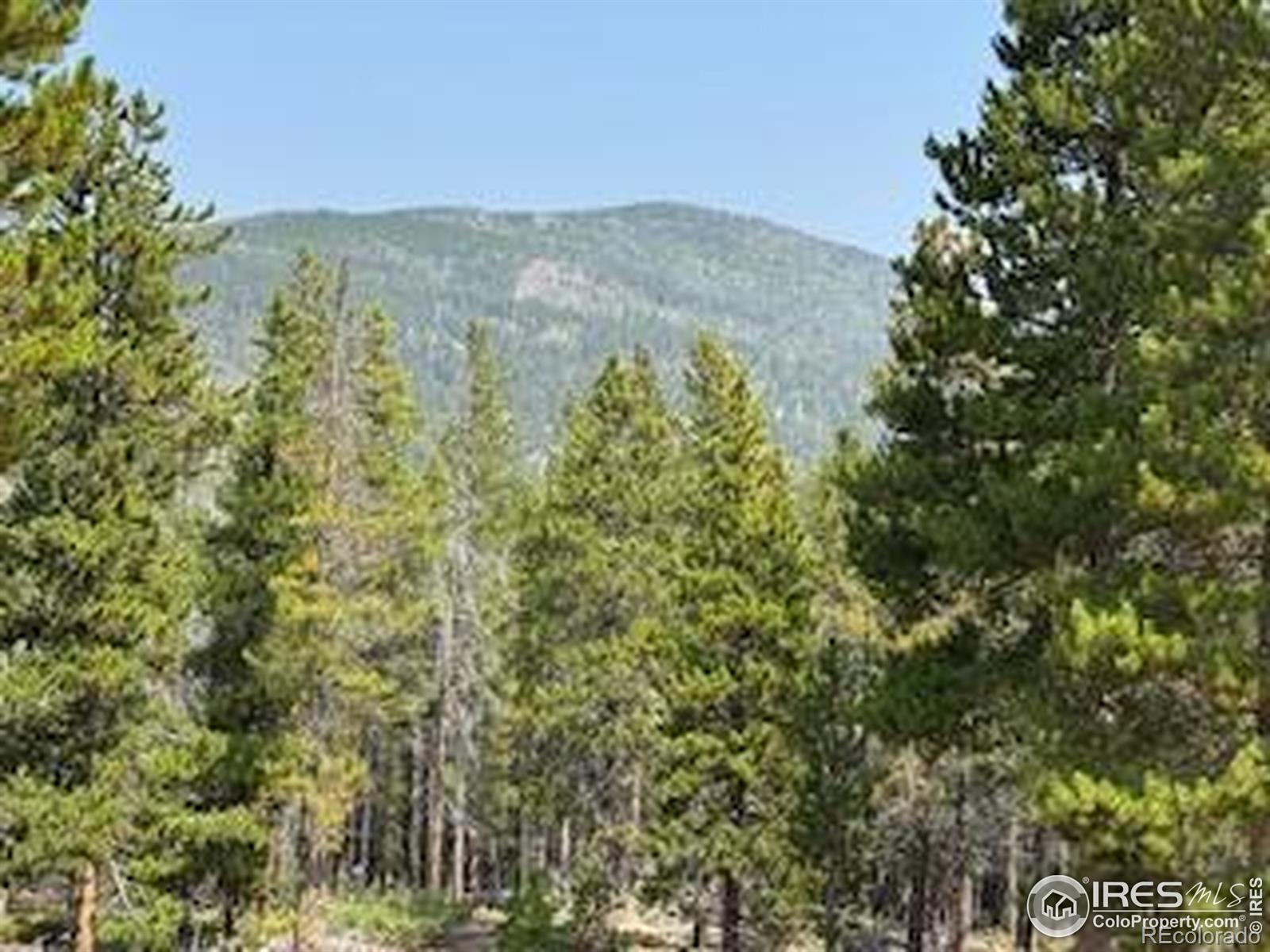 MLS Image #29 for 316  panamint way,red feather lakes, Colorado