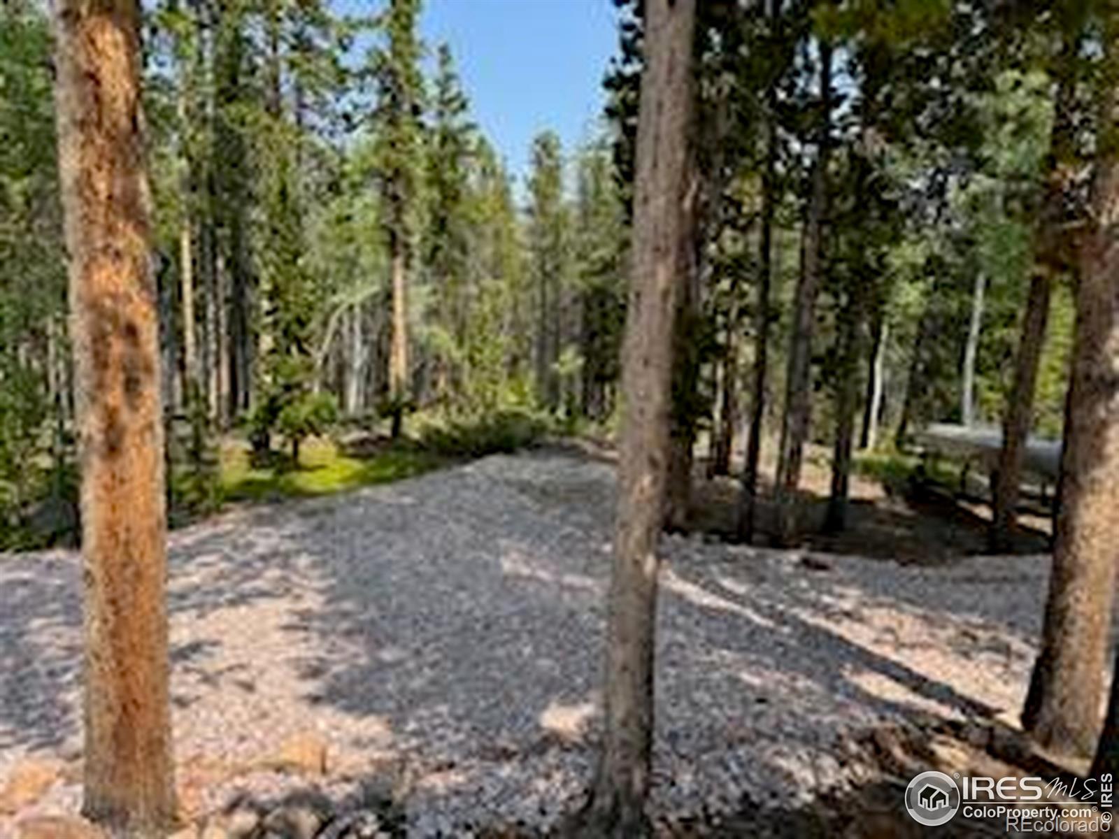 MLS Image #33 for 316  panamint way,red feather lakes, Colorado