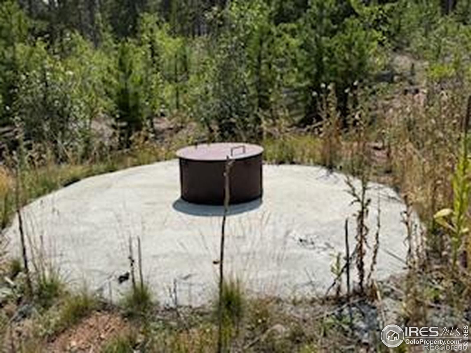 MLS Image #42 for 316  panamint way,red feather lakes, Colorado