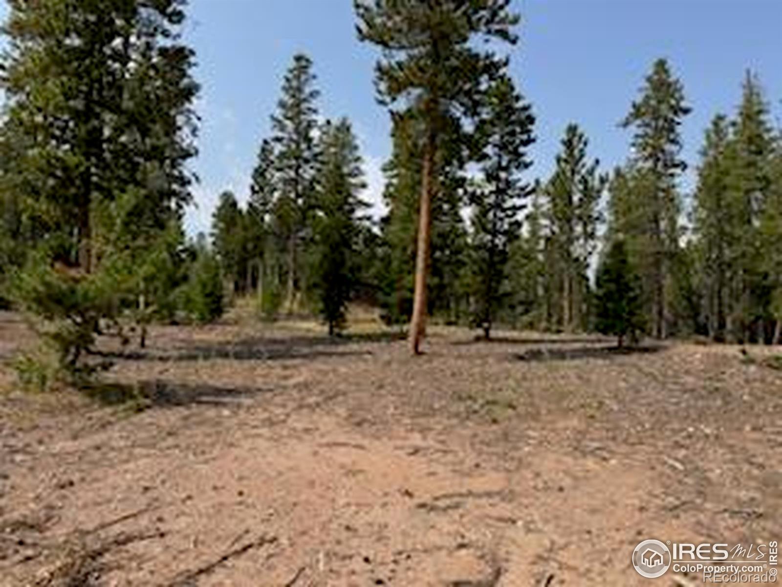MLS Image #44 for 316  panamint way,red feather lakes, Colorado