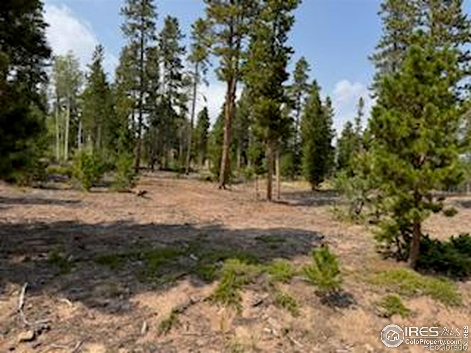 MLS Image #47 for 316  panamint way,red feather lakes, Colorado
