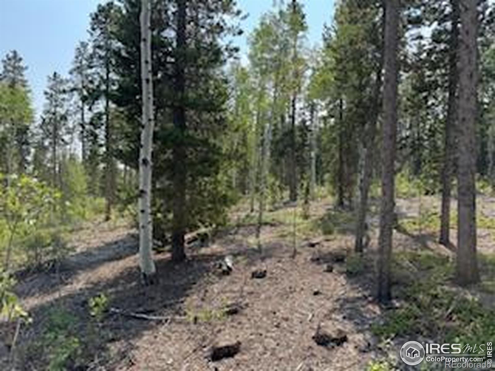 MLS Image #48 for 316  panamint way,red feather lakes, Colorado