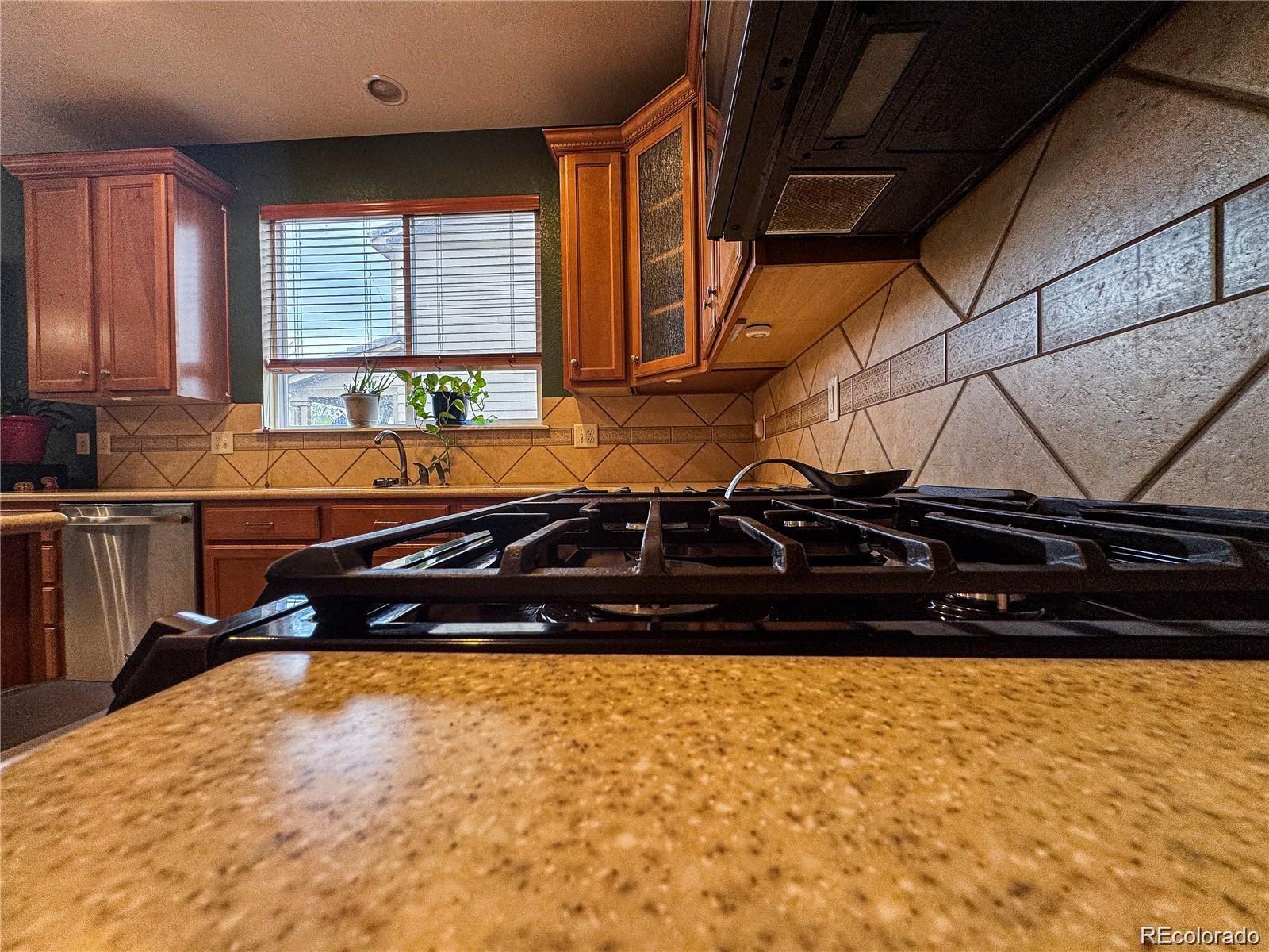 MLS Image #20 for 15523 e 117 avenue,commerce city, Colorado