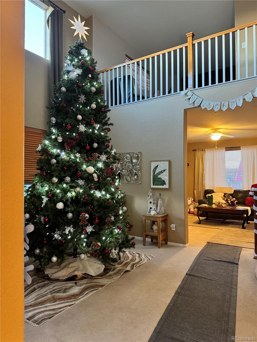 MLS Image #6 for 15523 e 117 avenue,commerce city, Colorado