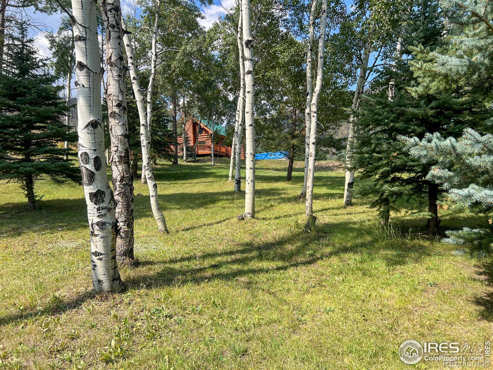 MLS Image #0 for 27667  buckhorn road,bellvue, Colorado