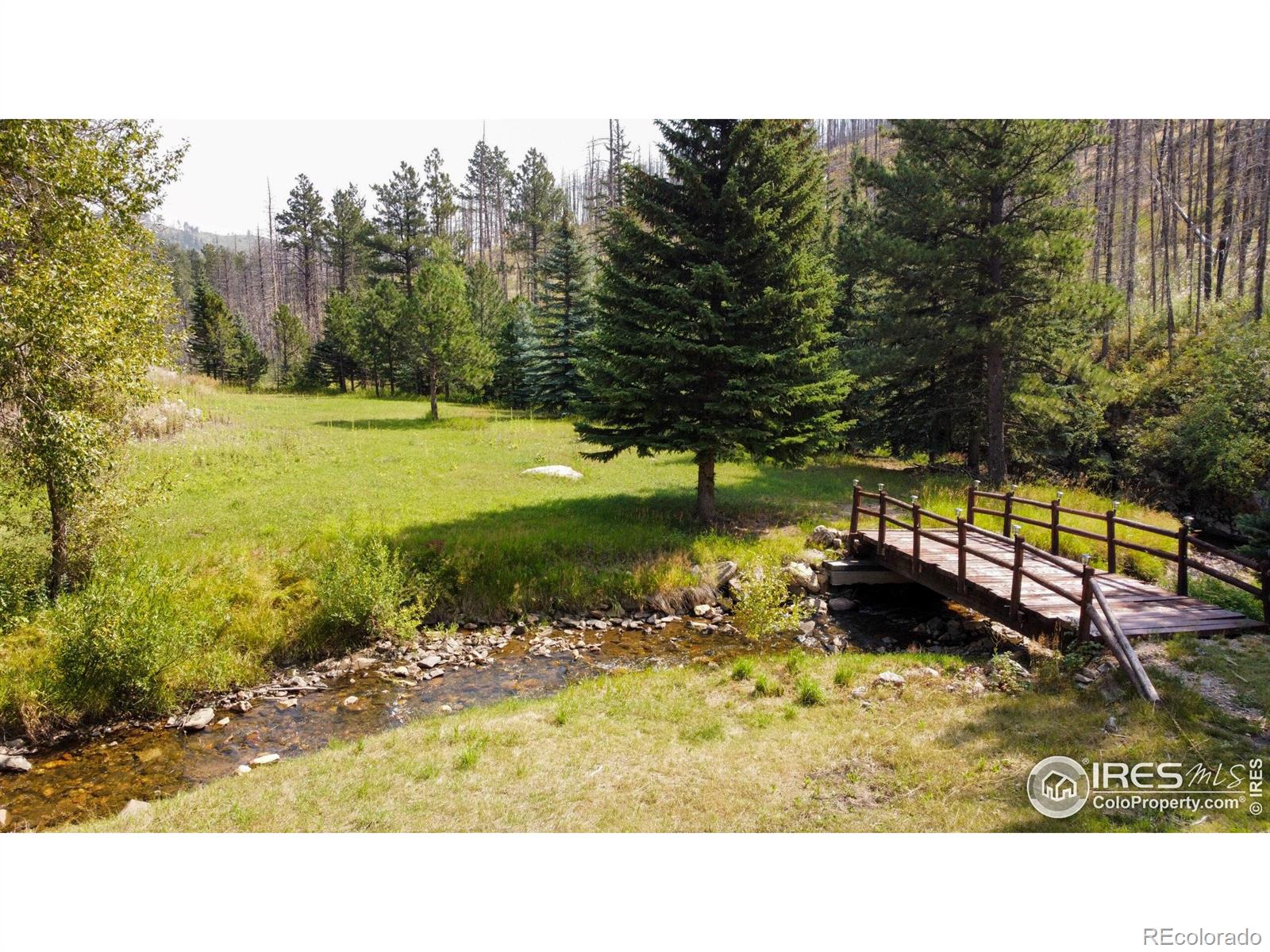 MLS Image #1 for 27667  buckhorn road,bellvue, Colorado