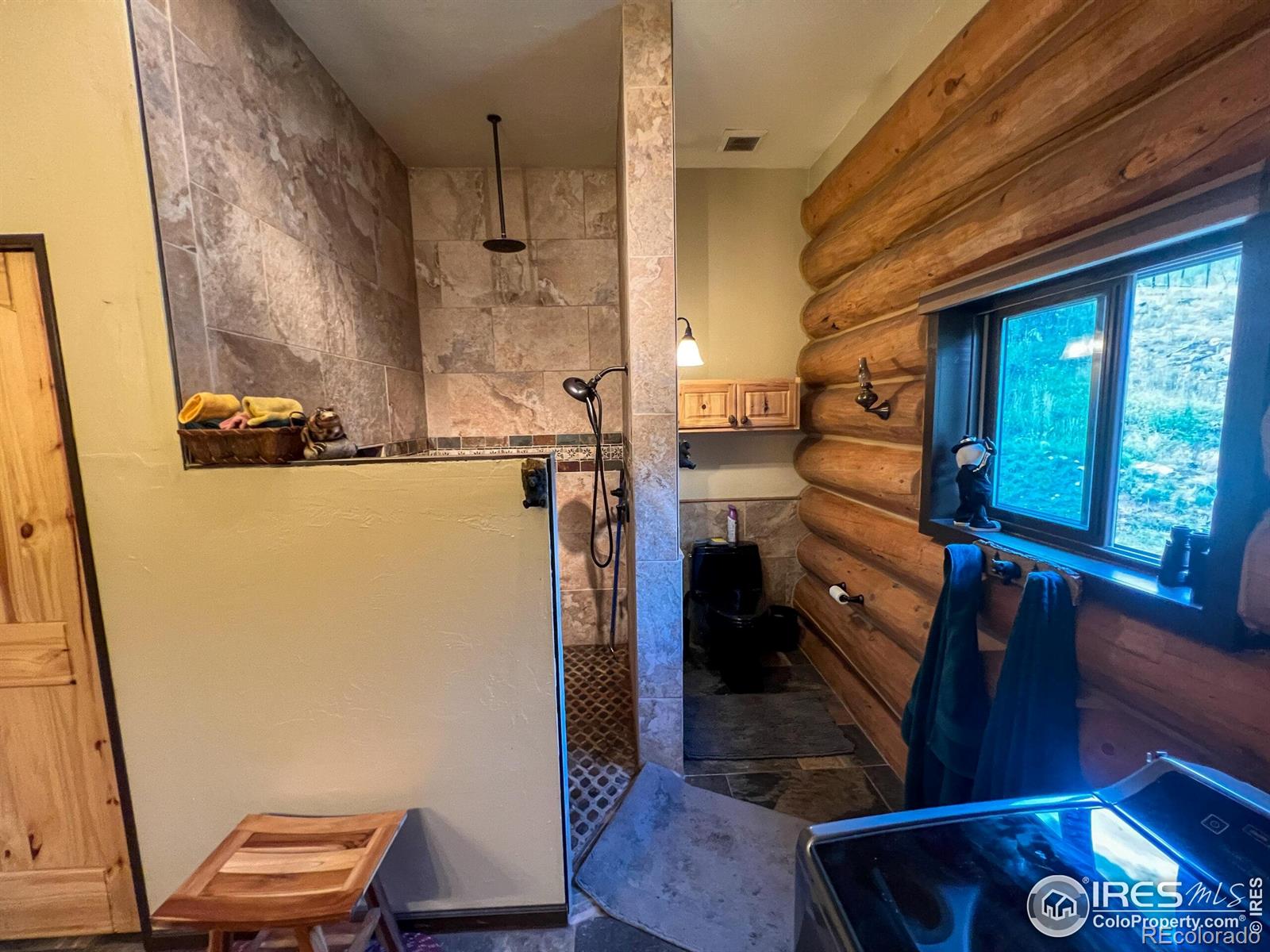 MLS Image #10 for 27667  buckhorn road,bellvue, Colorado