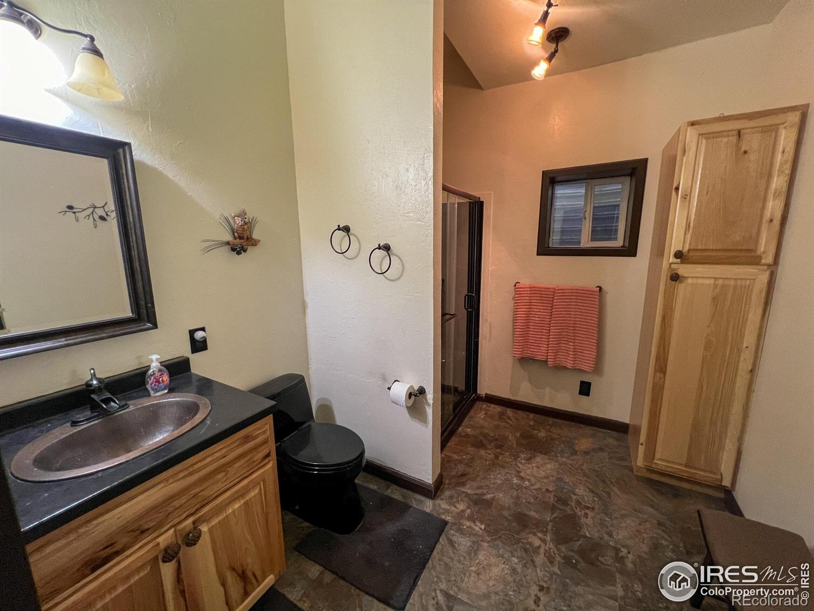 MLS Image #17 for 27667  buckhorn road,bellvue, Colorado