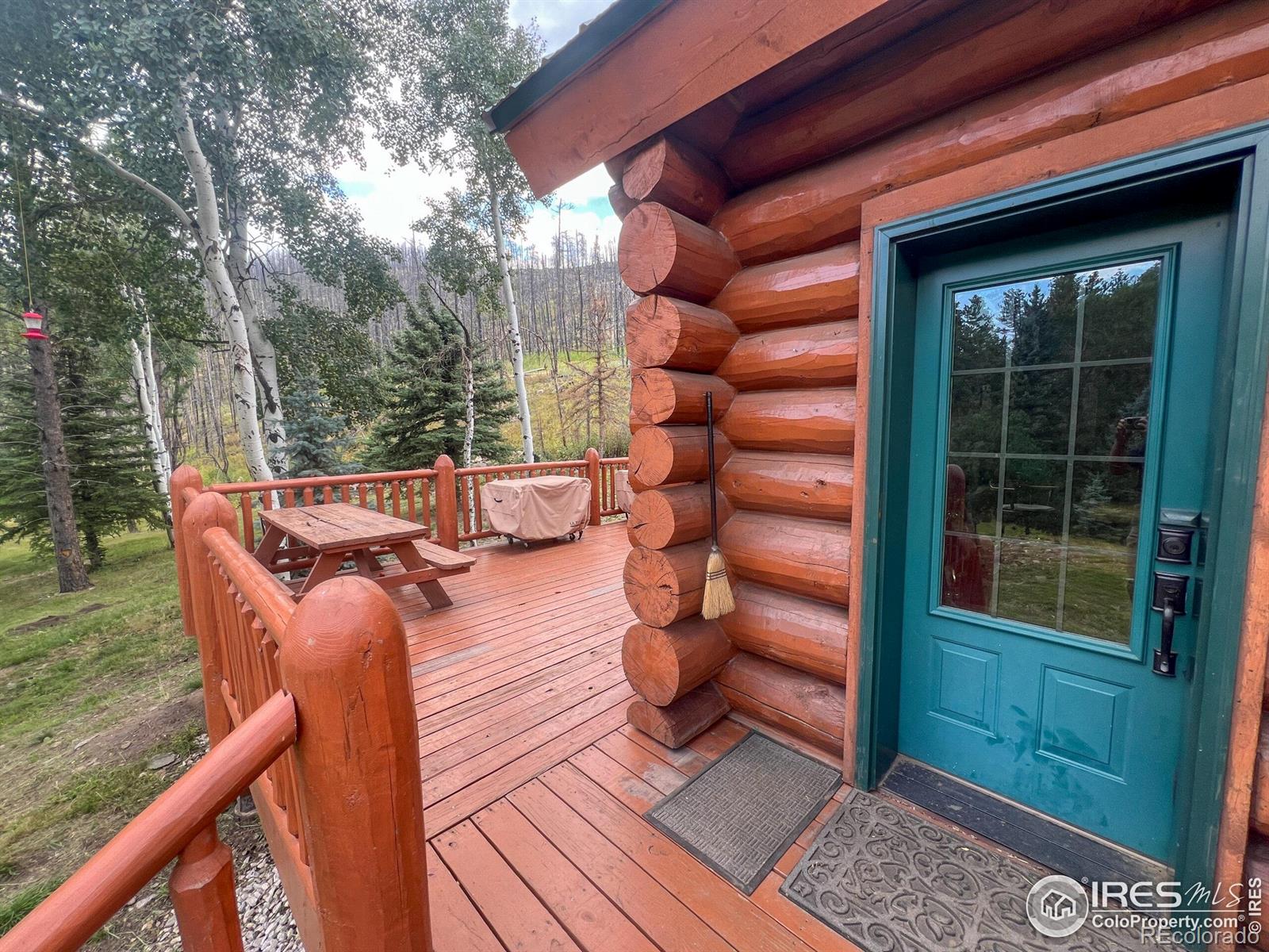 MLS Image #19 for 27667  buckhorn road,bellvue, Colorado