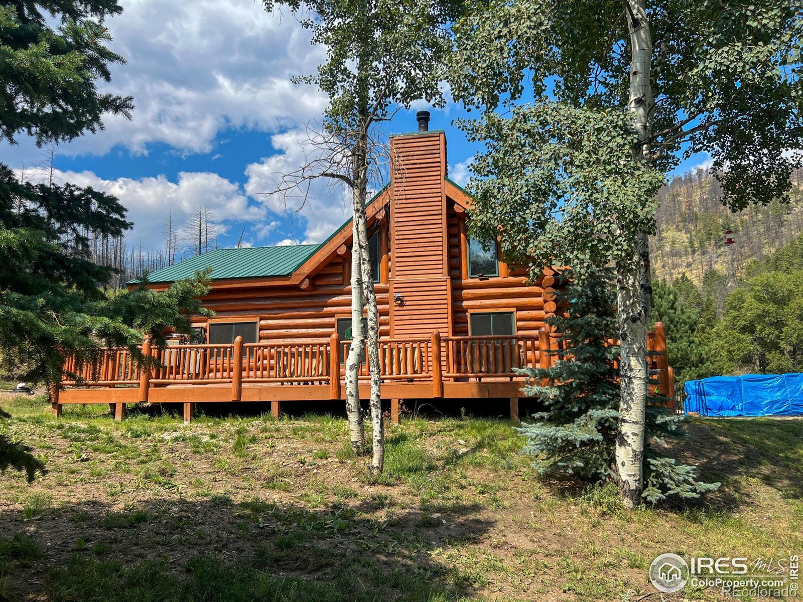 MLS Image #2 for 27667  buckhorn road,bellvue, Colorado