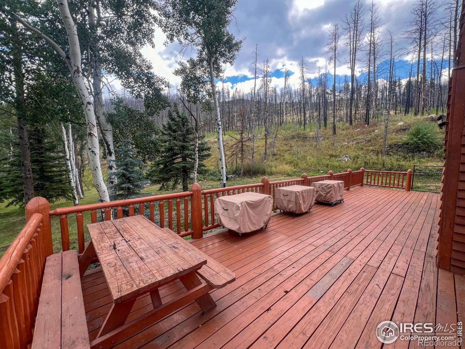 MLS Image #20 for 27667  buckhorn road,bellvue, Colorado