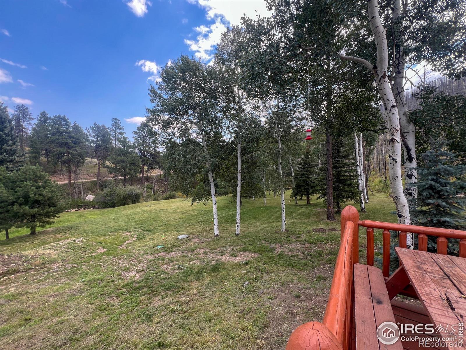 MLS Image #21 for 27667  buckhorn road,bellvue, Colorado