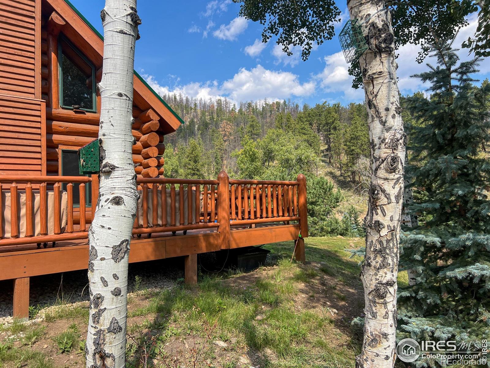 MLS Image #22 for 27667  buckhorn road,bellvue, Colorado