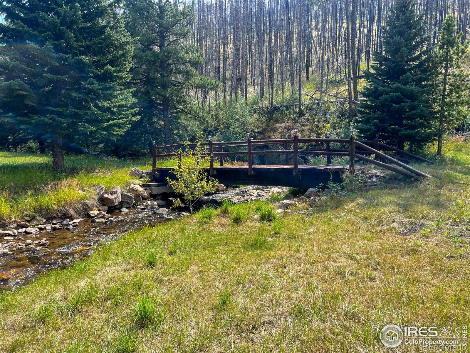 MLS Image #23 for 27667  buckhorn road,bellvue, Colorado