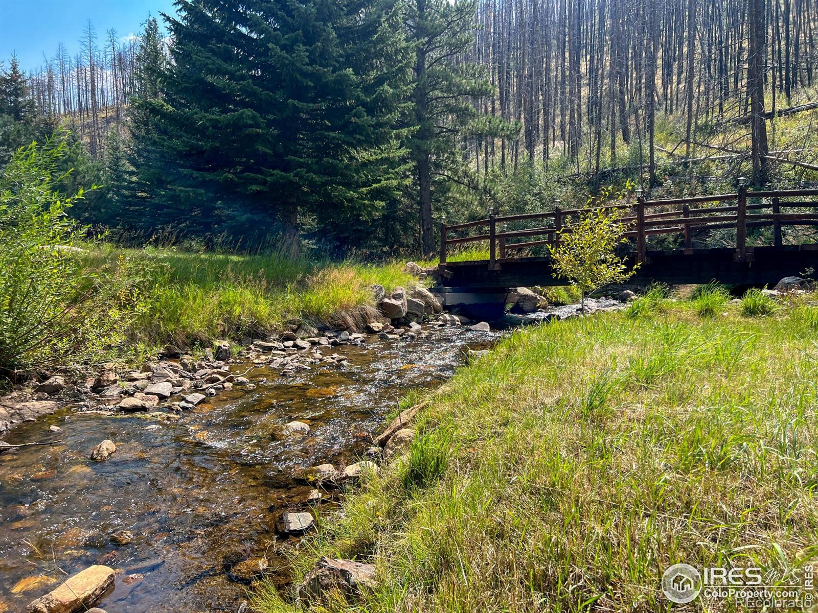 MLS Image #24 for 27667  buckhorn road,bellvue, Colorado