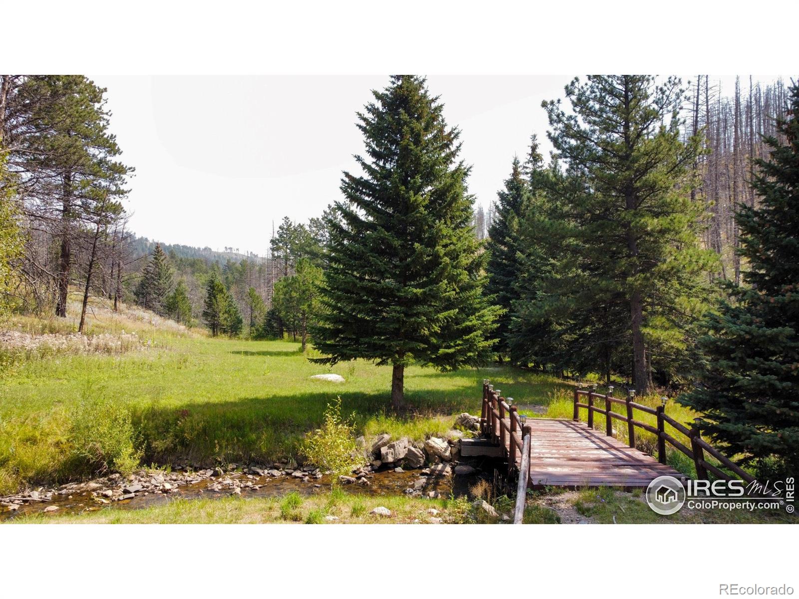 MLS Image #25 for 27667  buckhorn road,bellvue, Colorado