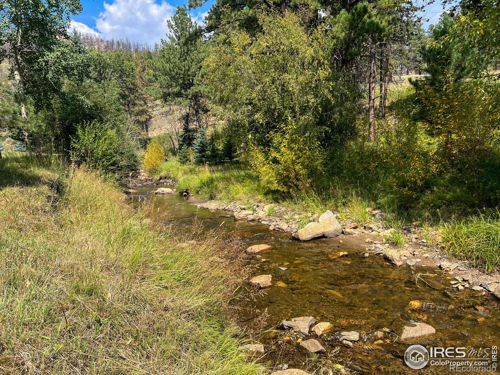 MLS Image #26 for 27667  buckhorn road,bellvue, Colorado