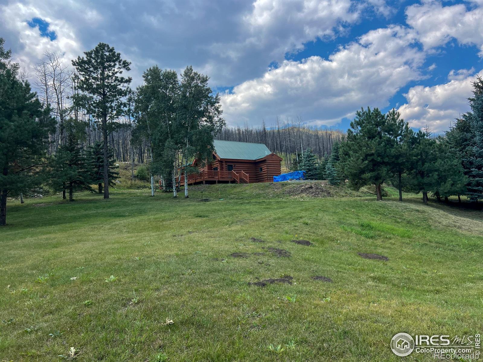 MLS Image #28 for 27667  buckhorn road,bellvue, Colorado