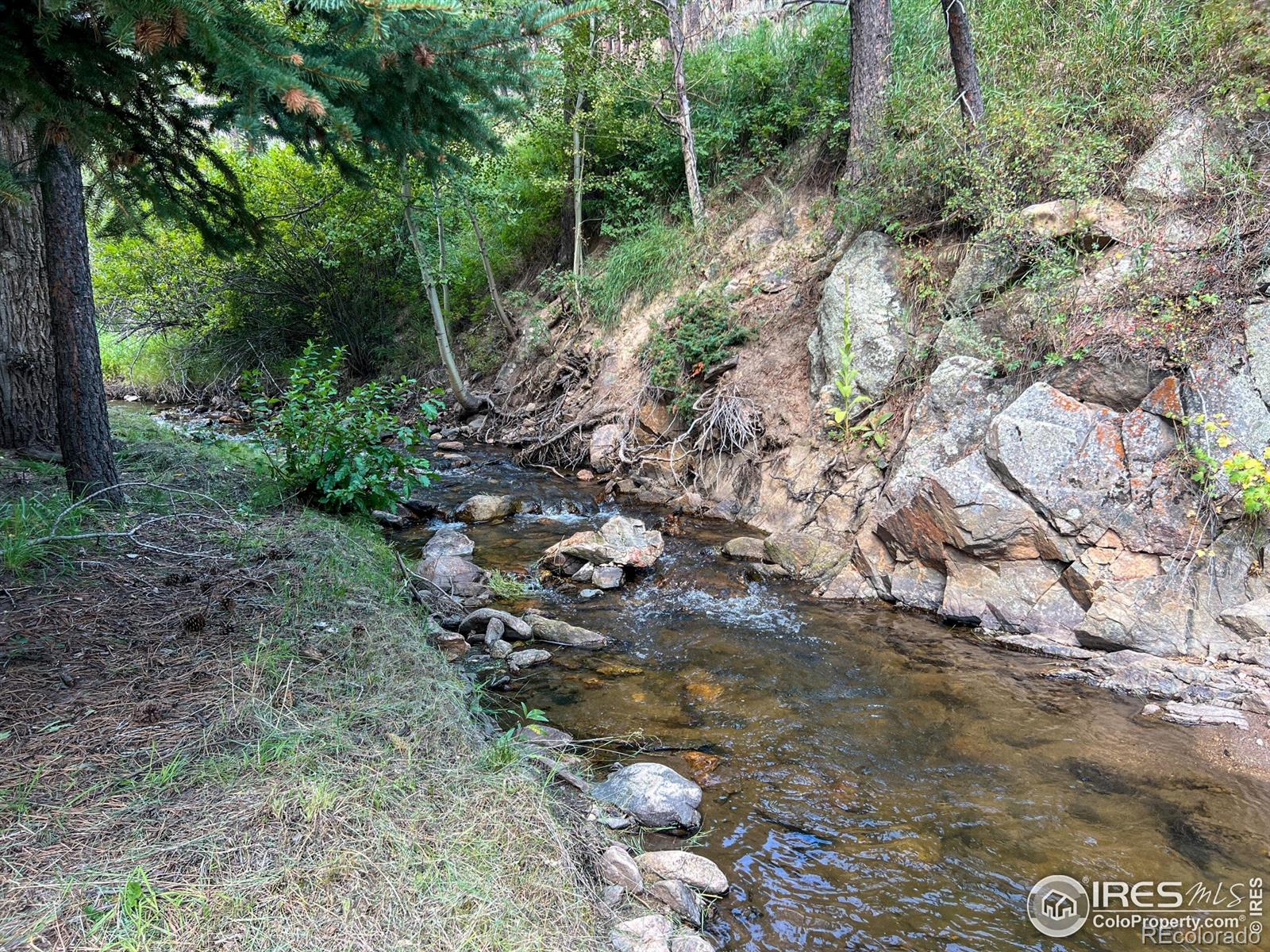 MLS Image #29 for 27667  buckhorn road,bellvue, Colorado