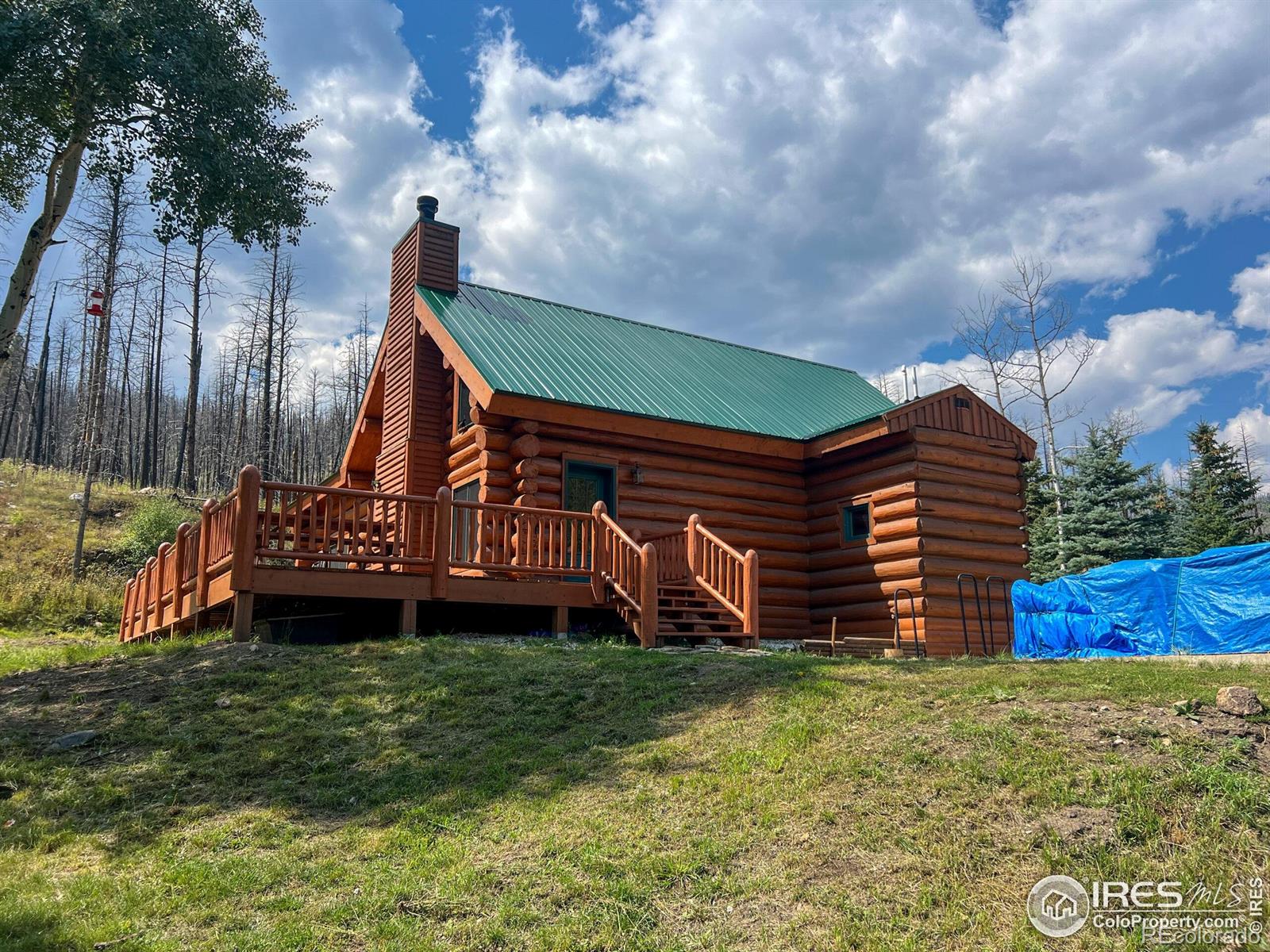 MLS Image #3 for 27667  buckhorn road,bellvue, Colorado
