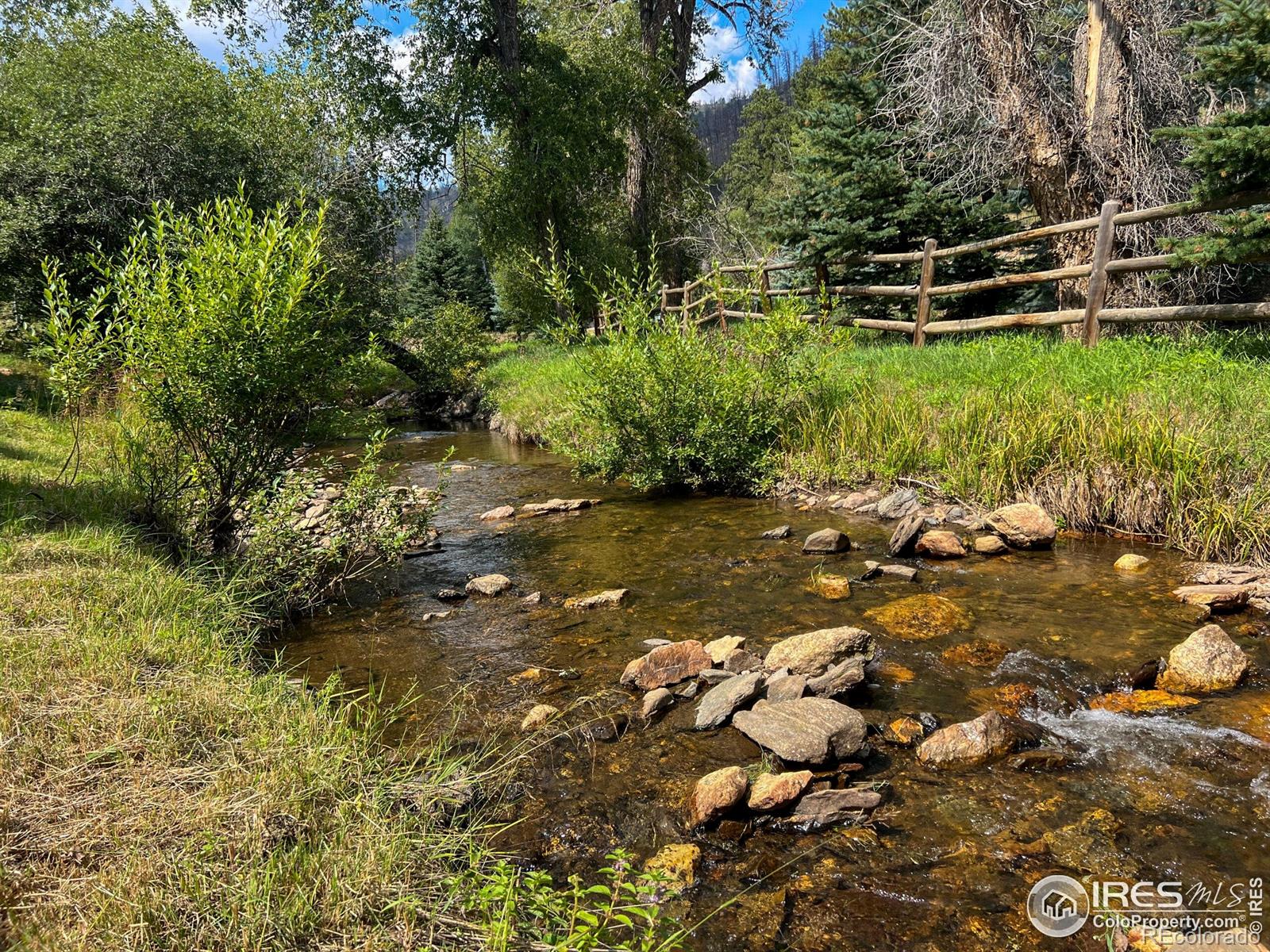 MLS Image #33 for 27667  buckhorn road,bellvue, Colorado