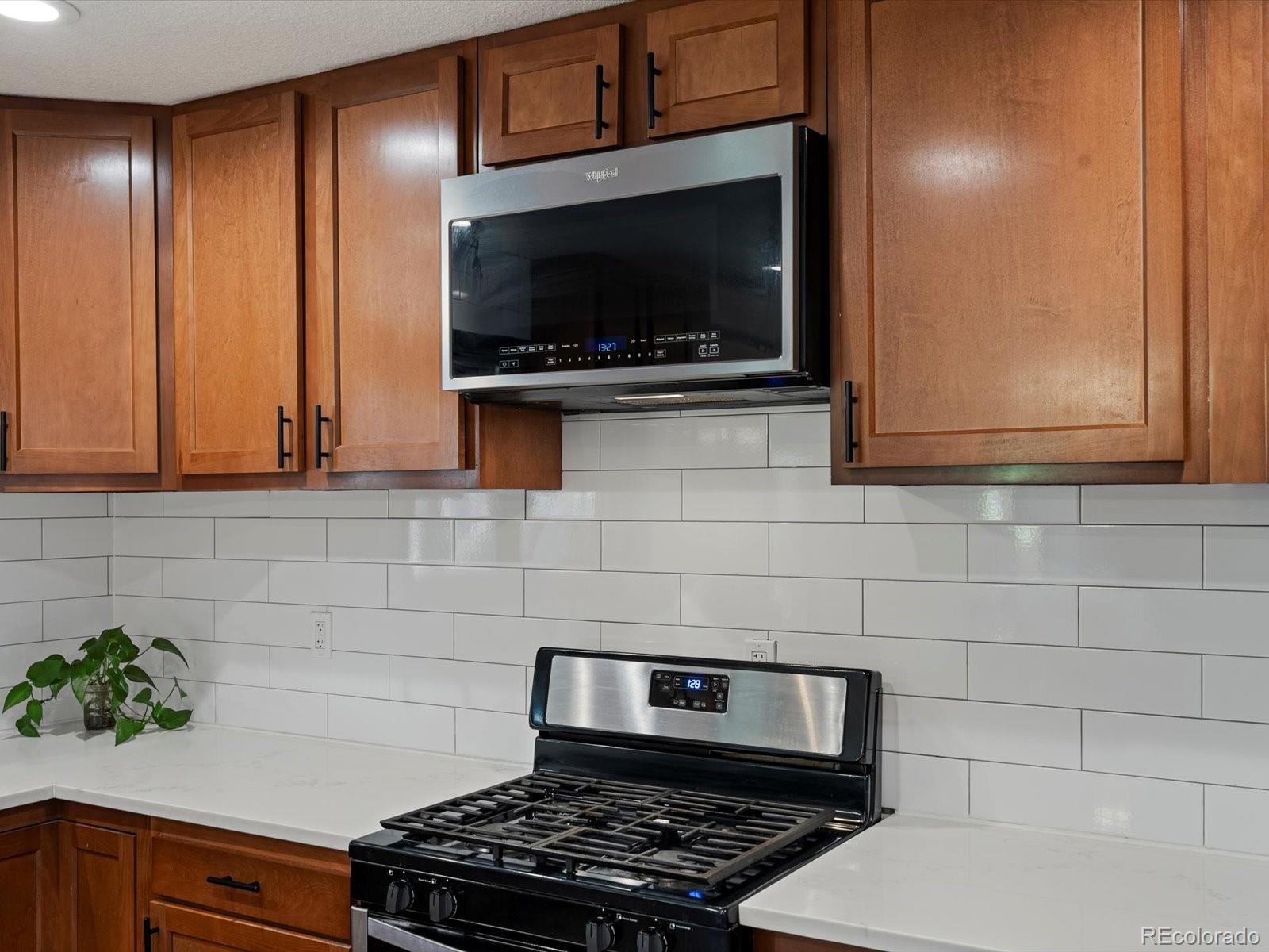 MLS Image #19 for 8049  sweet water road,lone tree, Colorado