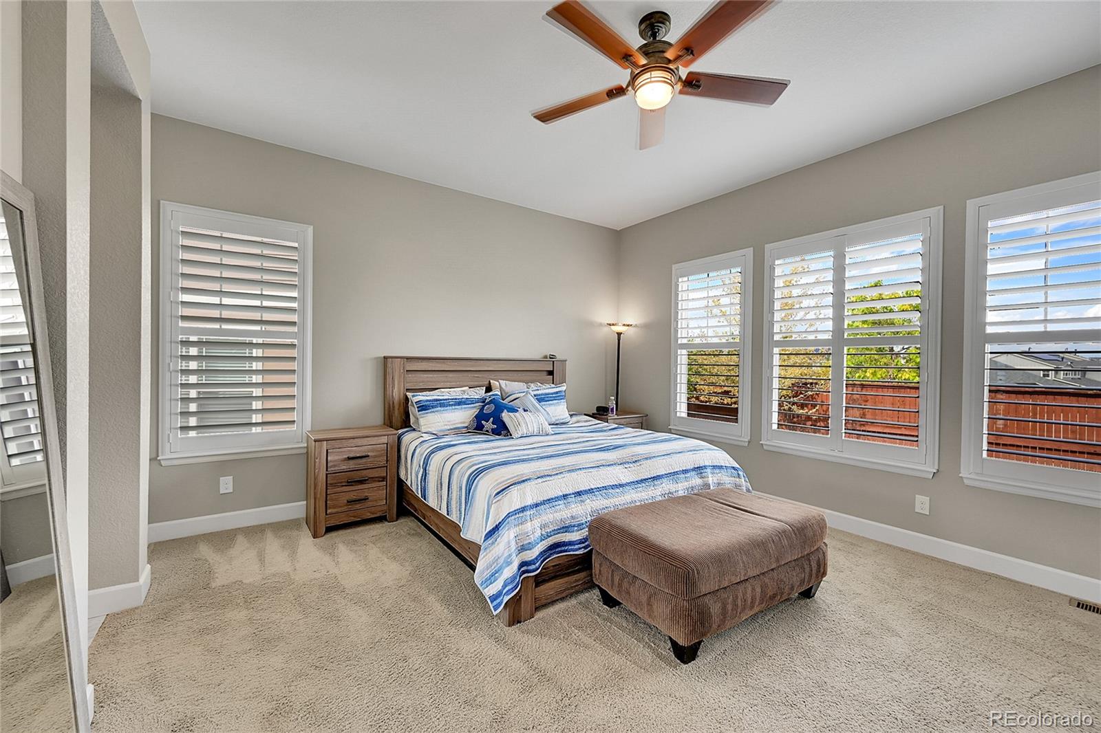 MLS Image #14 for 10228  fort worth court,parker, Colorado