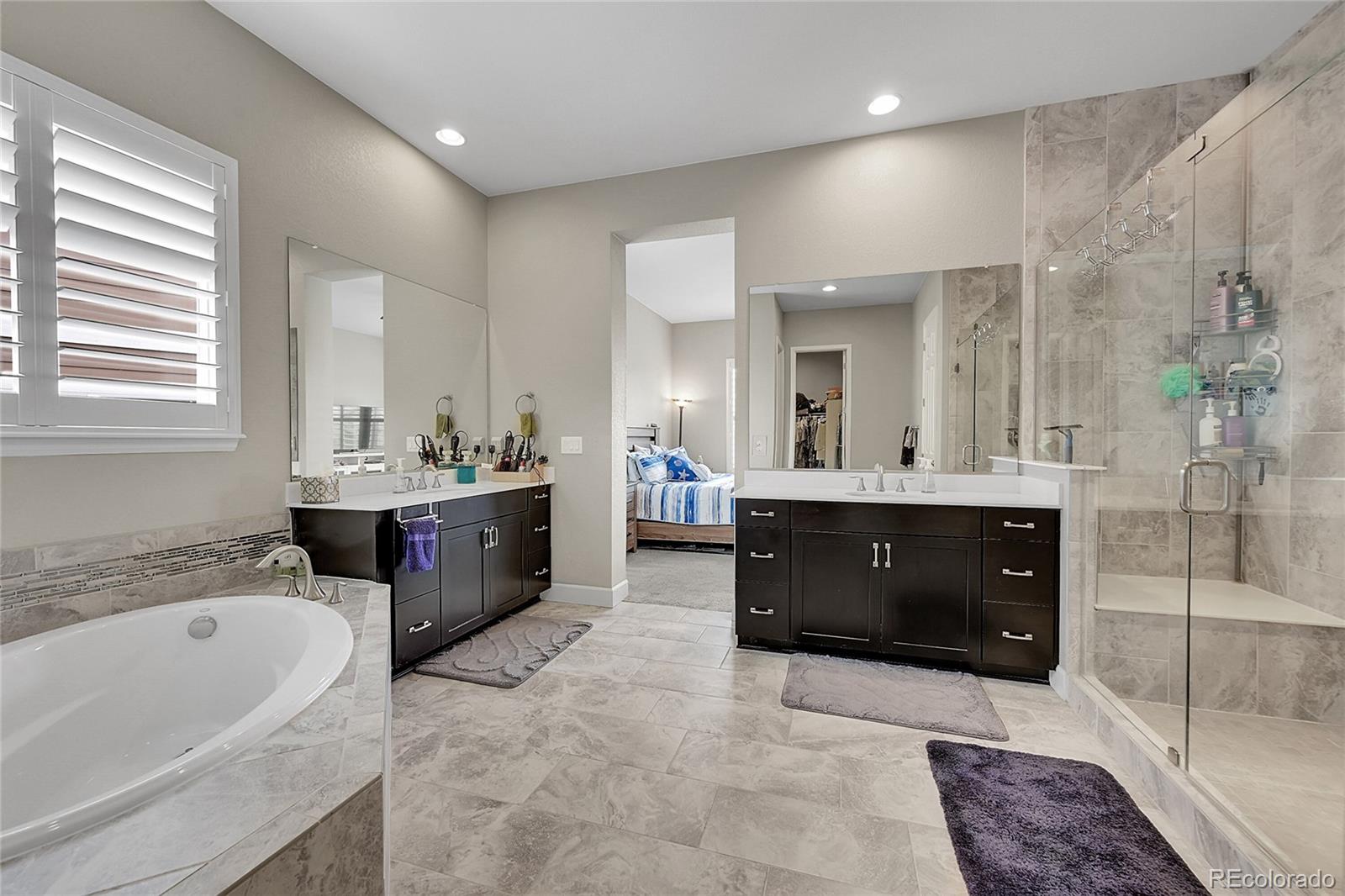 MLS Image #17 for 10228  fort worth court,parker, Colorado