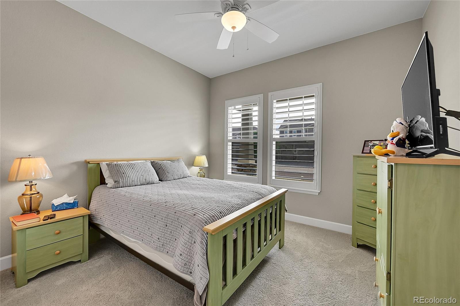 MLS Image #21 for 10228  fort worth court,parker, Colorado