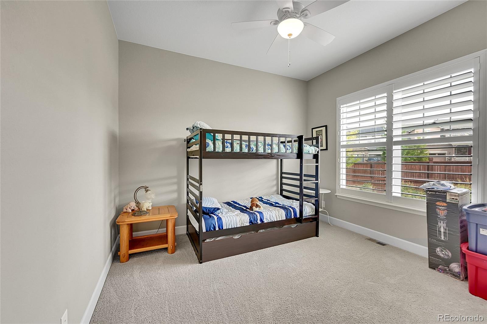 MLS Image #22 for 10228  fort worth court,parker, Colorado