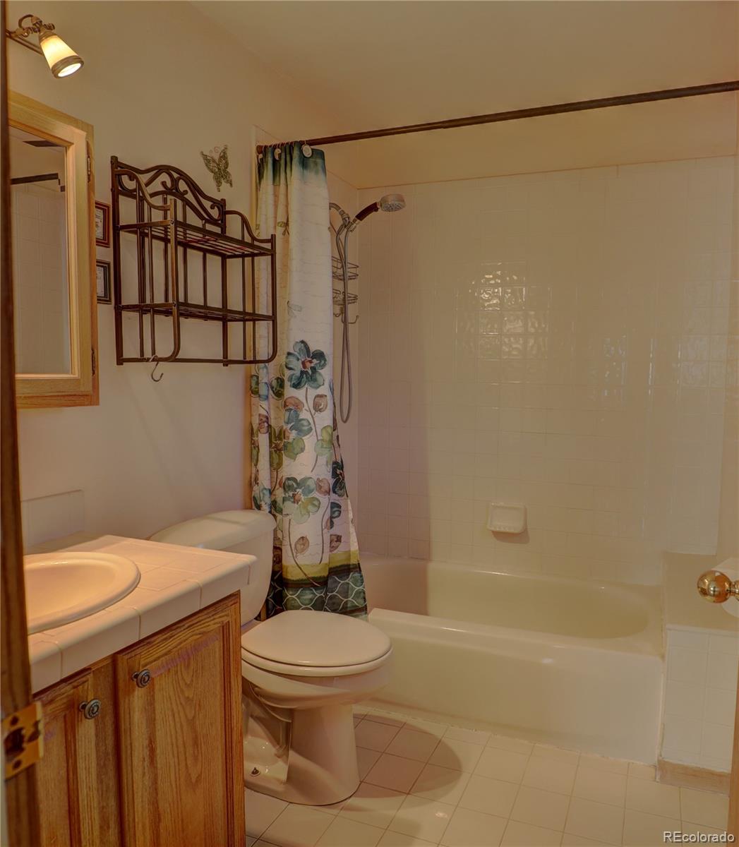 MLS Image #17 for 170  blackbird drive,bailey, Colorado