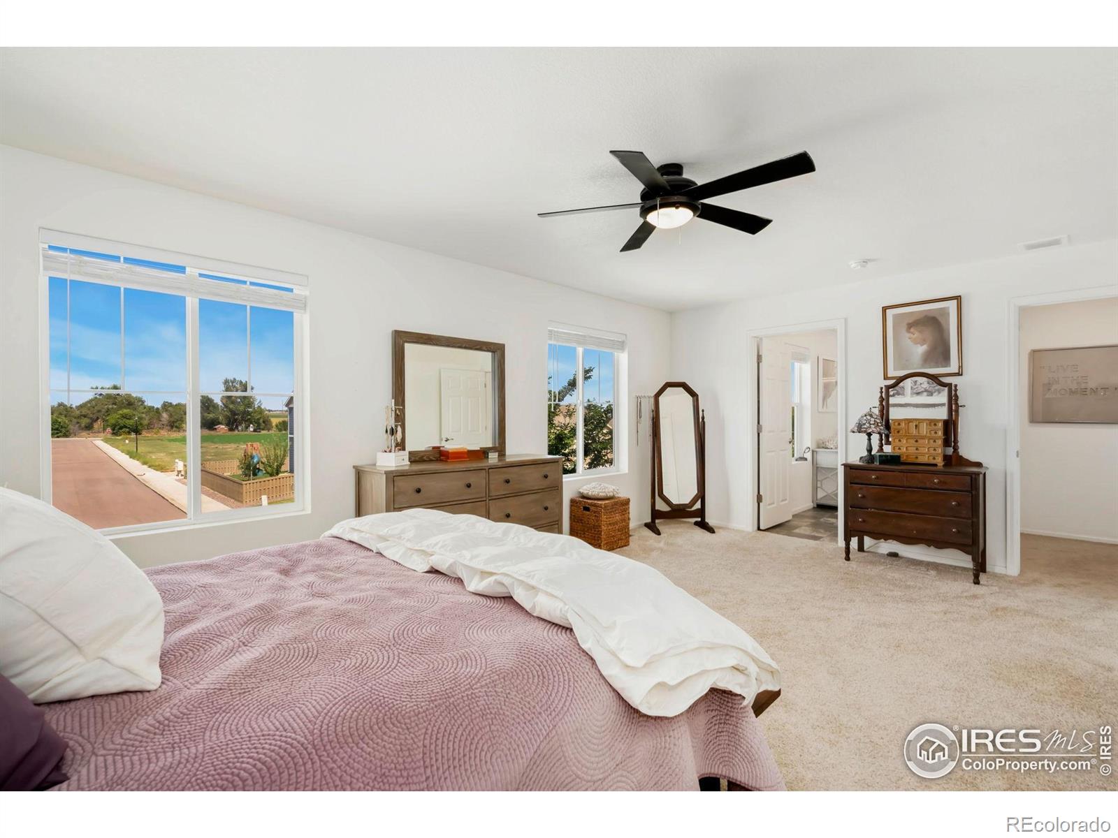 MLS Image #14 for 320  central avenue,severance, Colorado