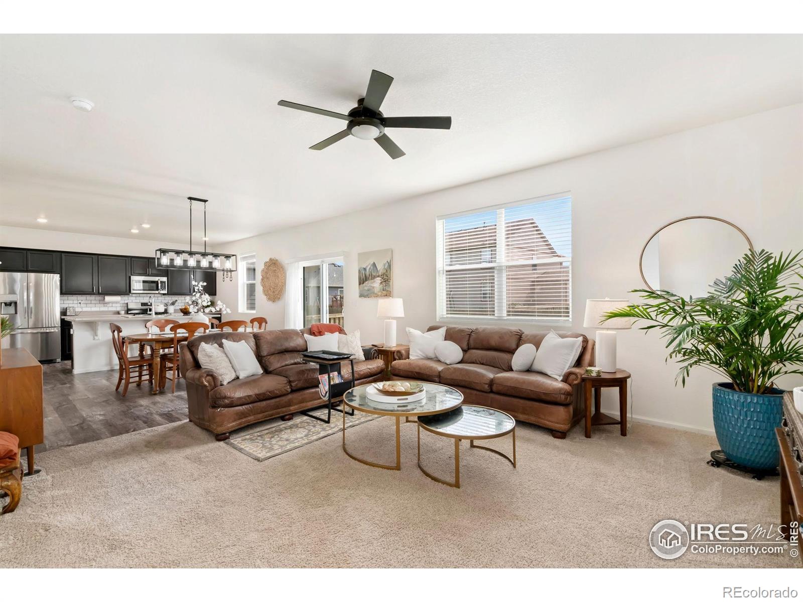 MLS Image #4 for 320  central avenue,severance, Colorado