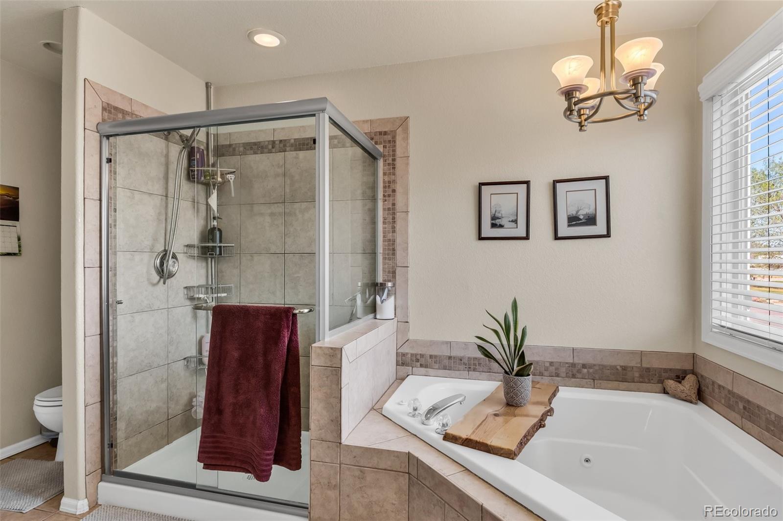 MLS Image #17 for 4899  warbler court,pueblo, Colorado