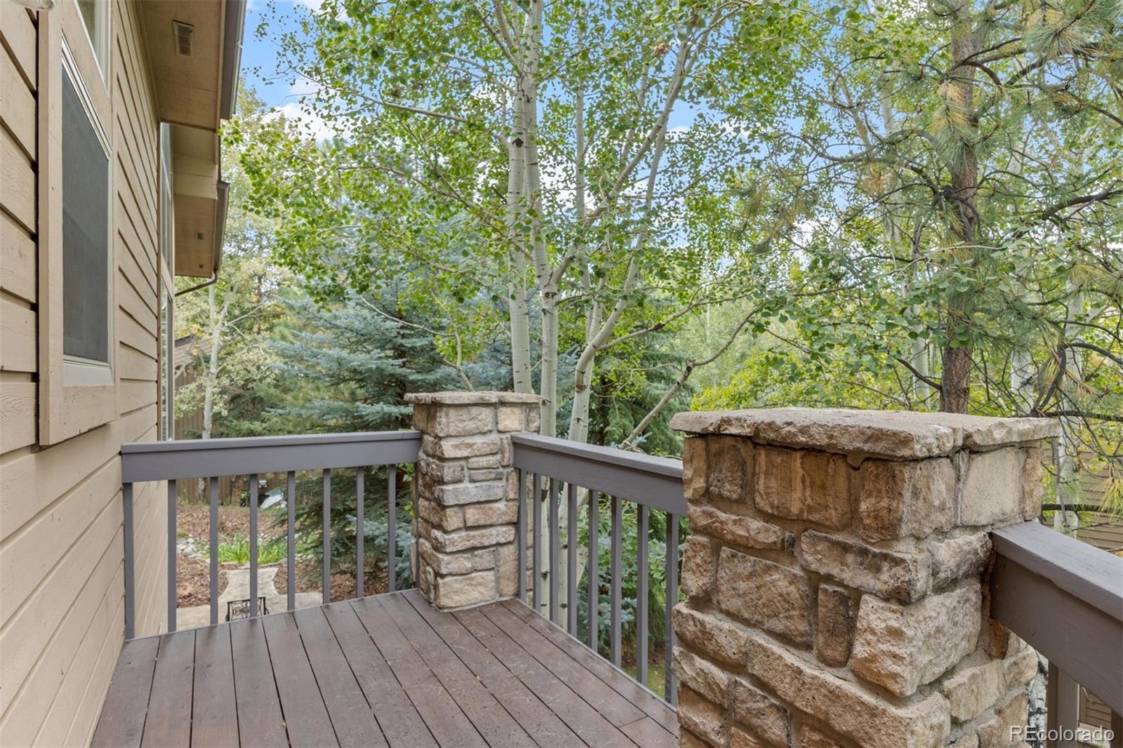 MLS Image #10 for 2977  sun creek ridge,evergreen, Colorado