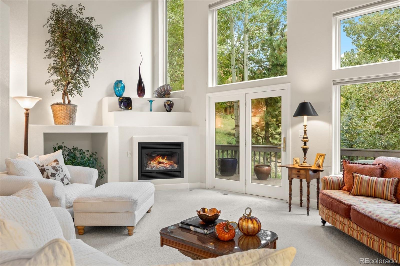 MLS Image #16 for 2977  sun creek ridge,evergreen, Colorado