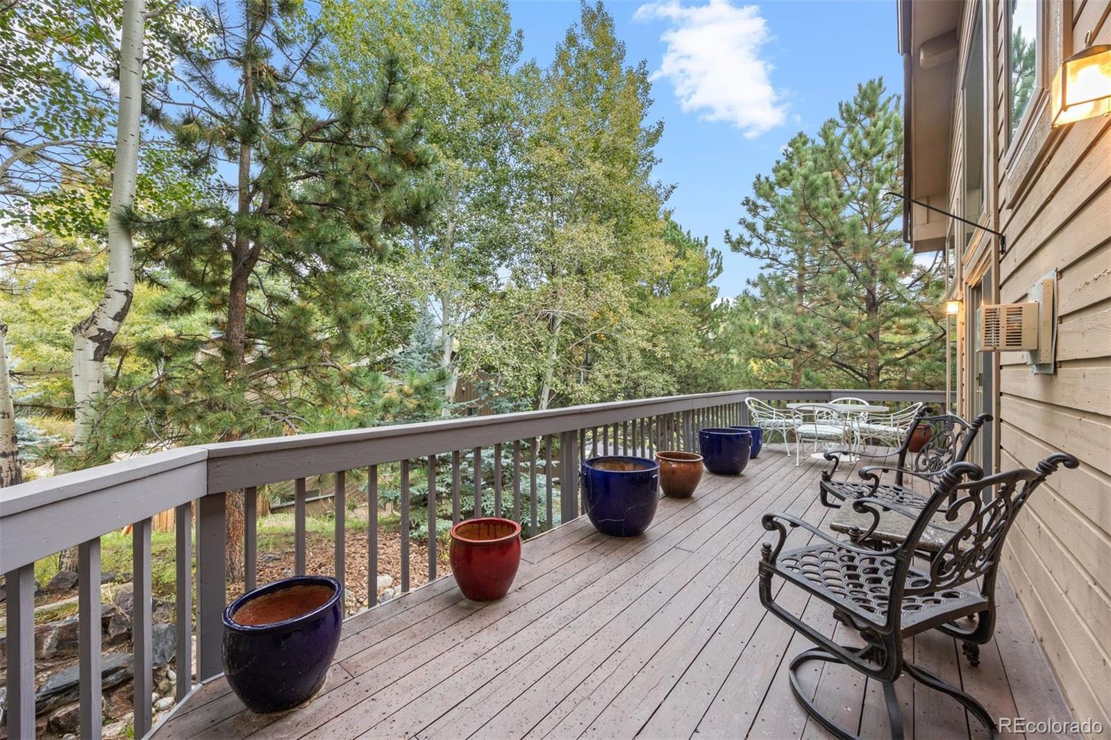 MLS Image #20 for 2977  sun creek ridge,evergreen, Colorado