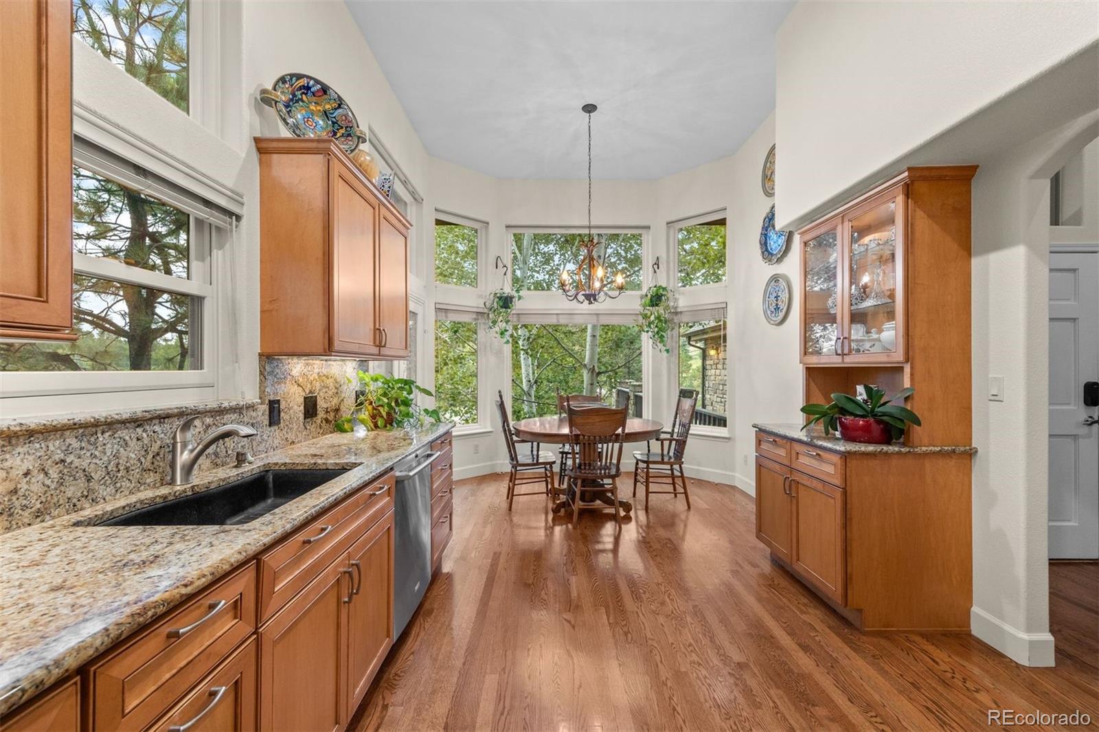 MLS Image #6 for 2977  sun creek ridge,evergreen, Colorado