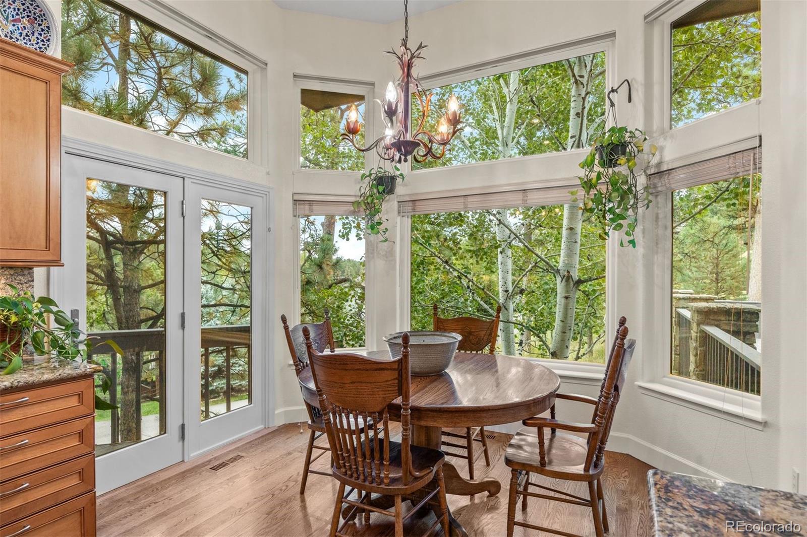 MLS Image #9 for 2977  sun creek ridge,evergreen, Colorado