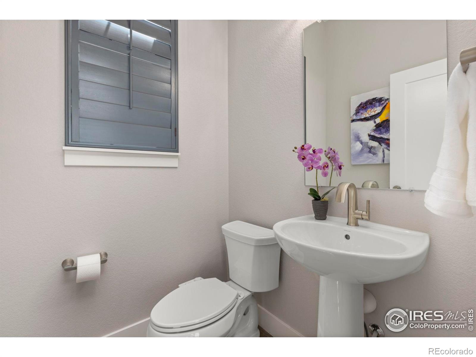 MLS Image #11 for 139  westerly boulevard,erie, Colorado