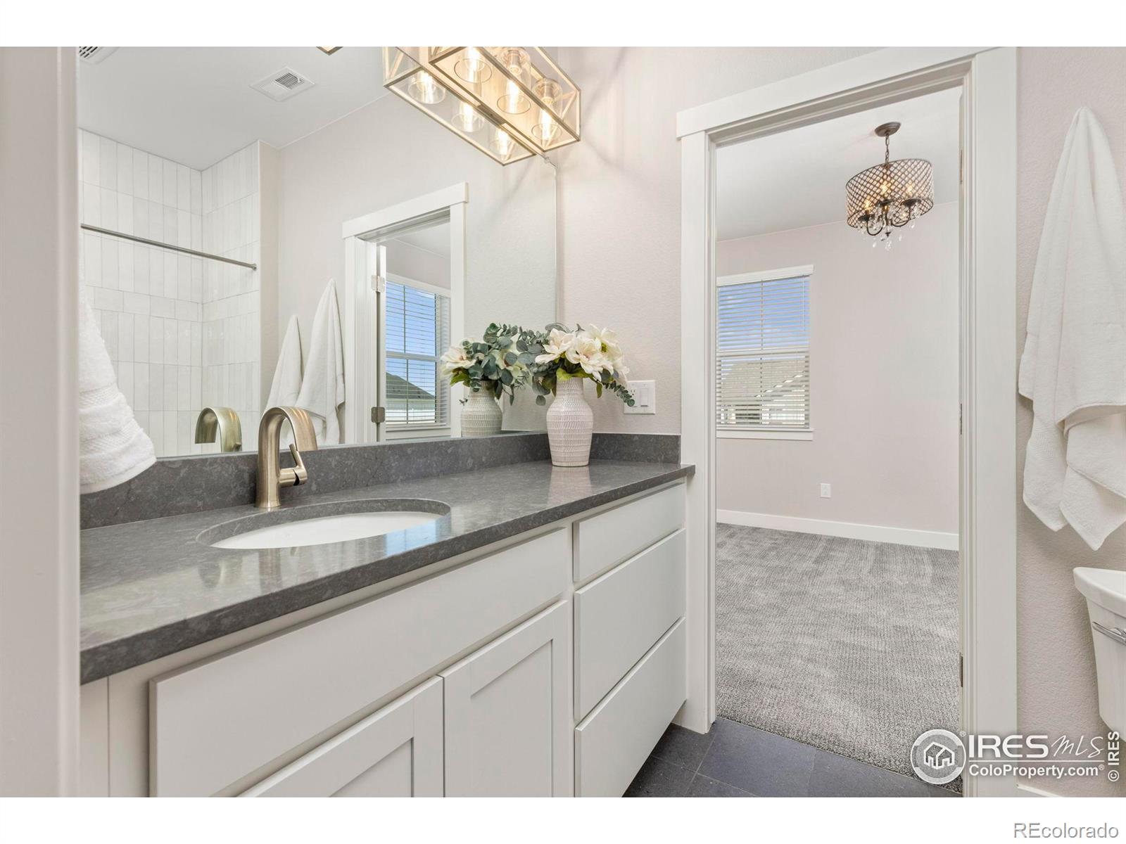 MLS Image #22 for 139  westerly boulevard,erie, Colorado