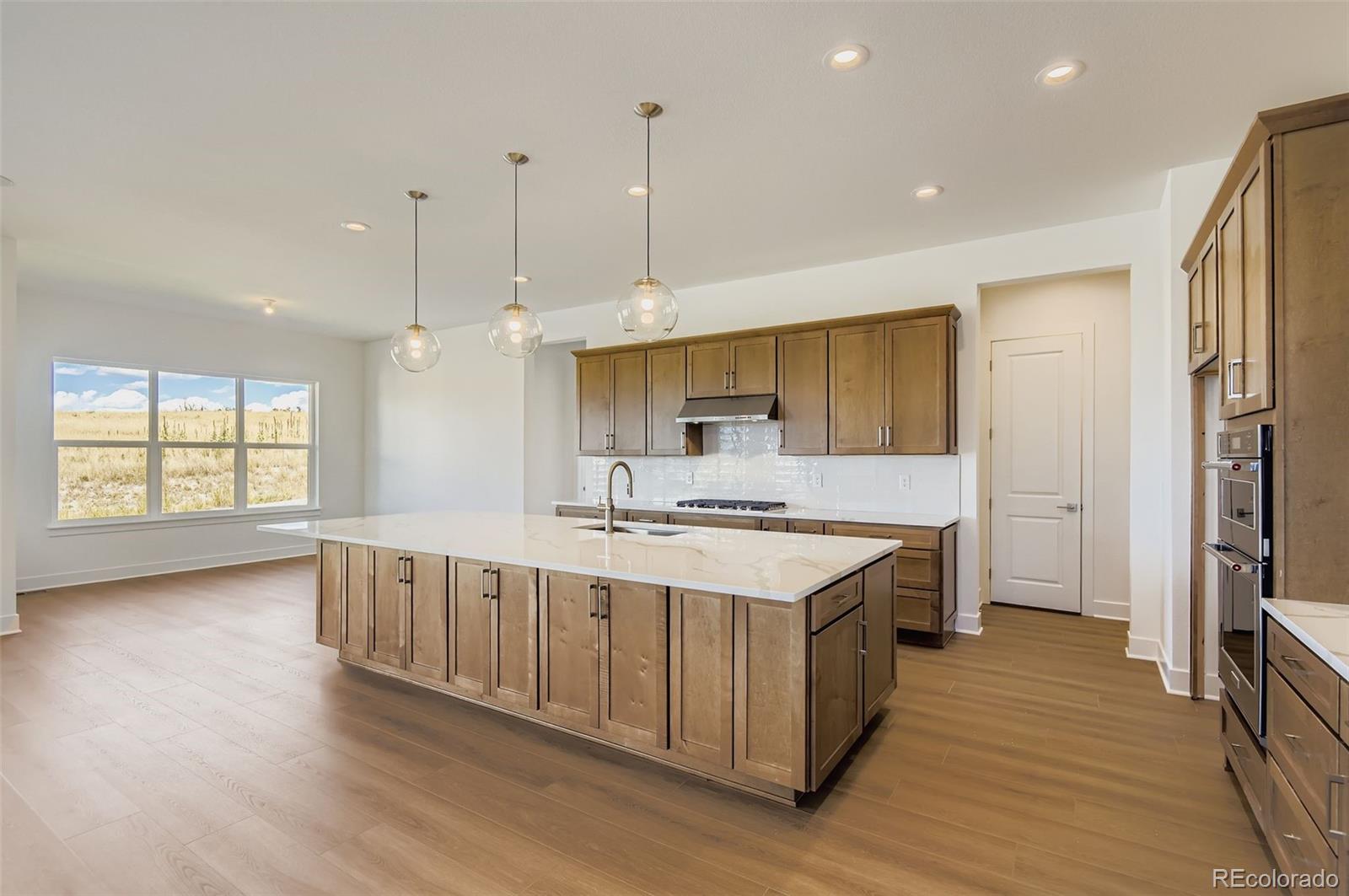 MLS Image #11 for 218  leafy aster lane,castle rock, Colorado
