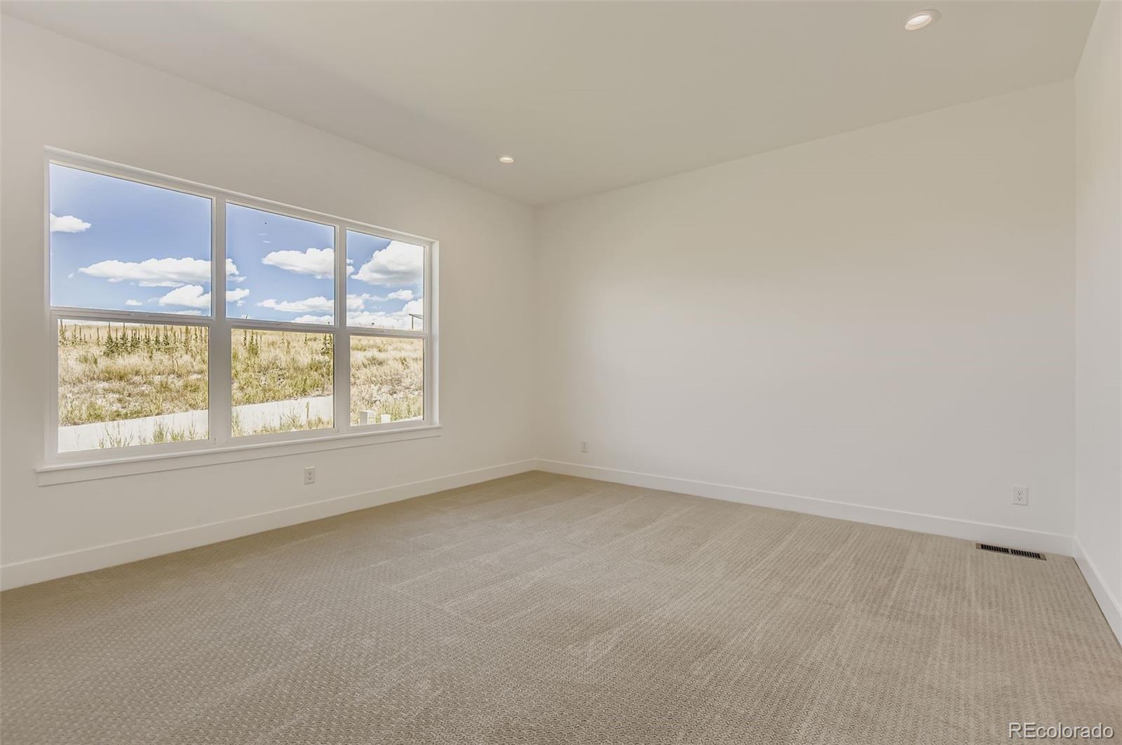 MLS Image #15 for 218  leafy aster lane,castle rock, Colorado