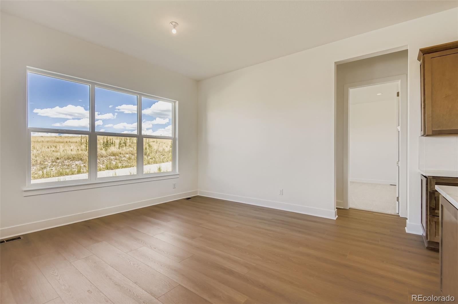 MLS Image #6 for 218  leafy aster lane,castle rock, Colorado