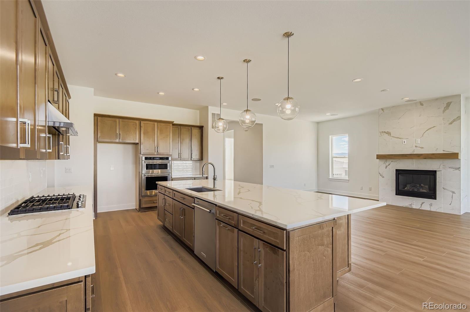 MLS Image #8 for 218  leafy aster lane,castle rock, Colorado