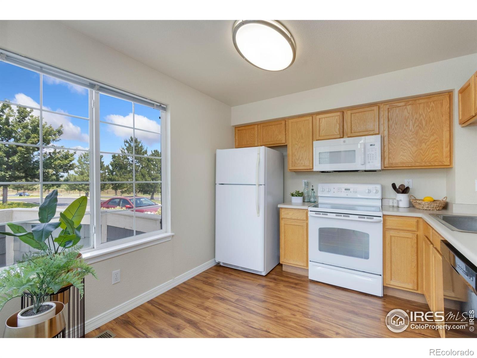 MLS Image #6 for 6714  antigua drive,fort collins, Colorado